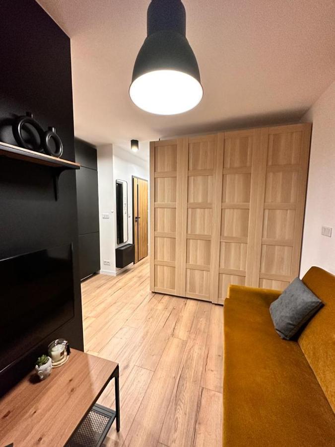 Apartamenty House Profit Kosciuszki 28Vs31B Катовице Экстерьер фото